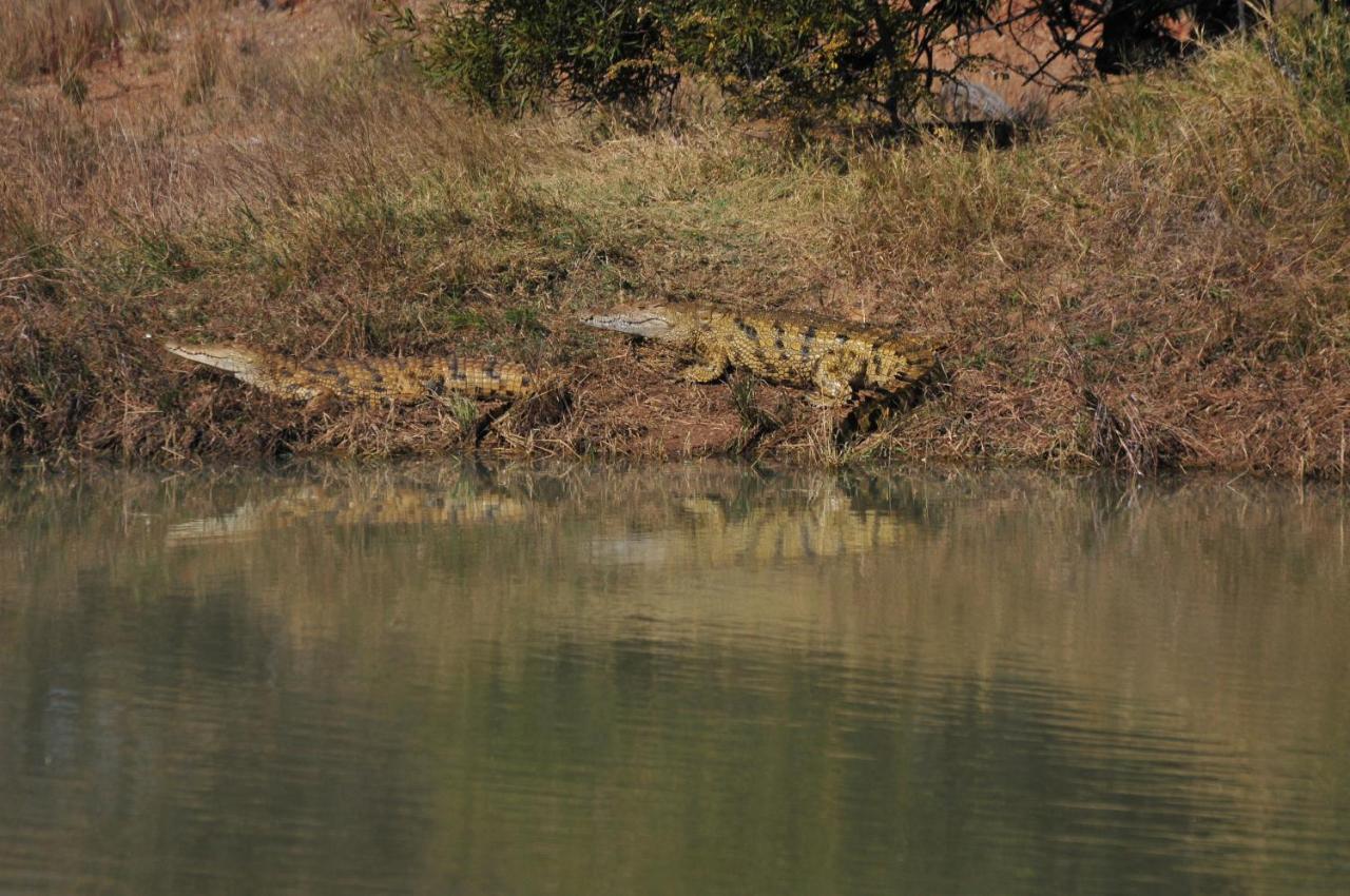 Lodge Mziki Safari Vaaldam