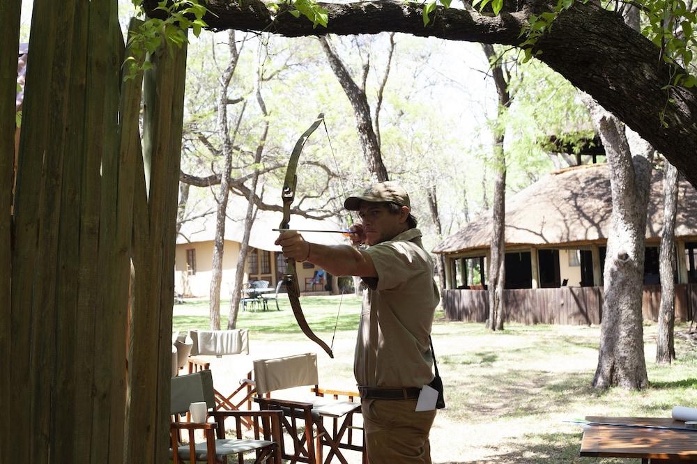 Mziki Safari
