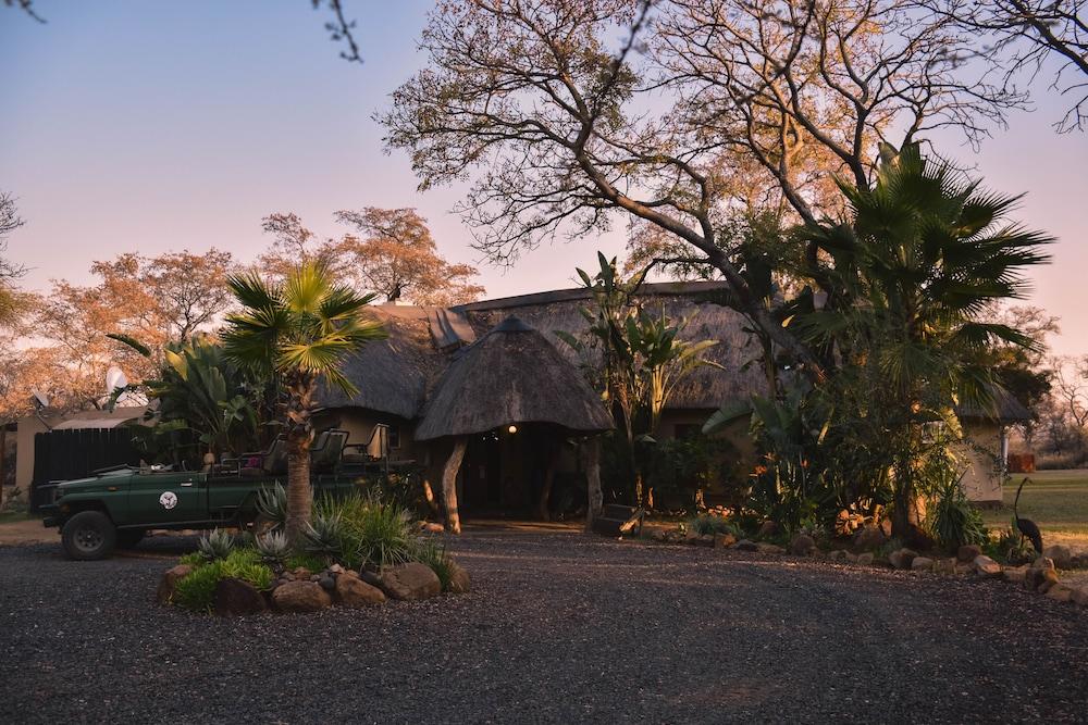 Mziki Safari