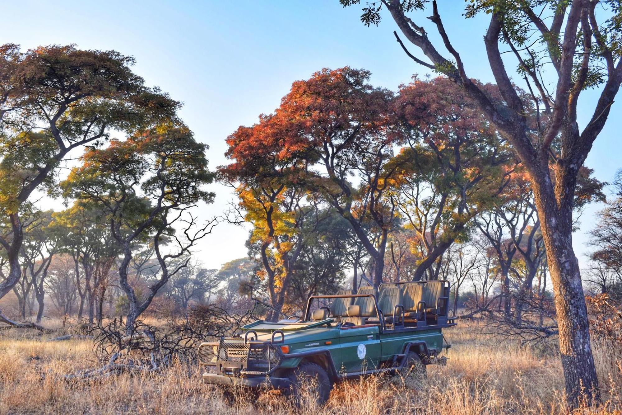 Lodge Mziki Safari