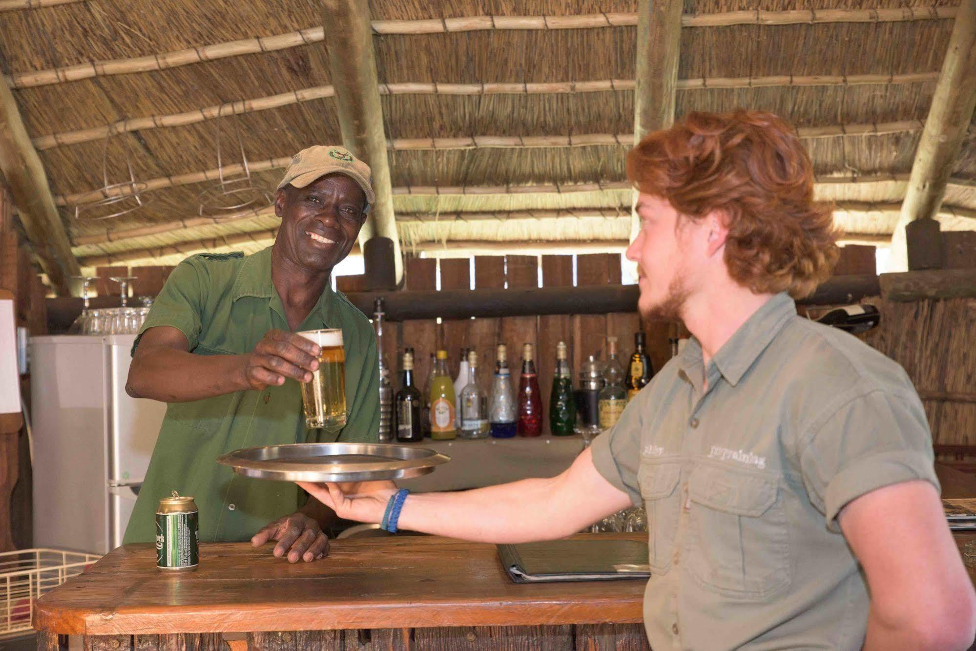 Mziki Safari