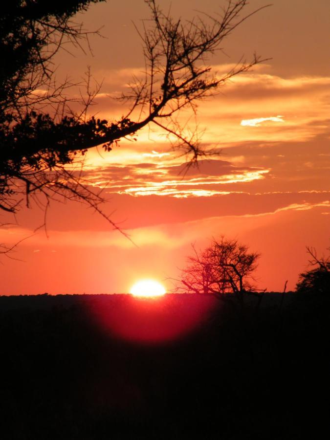 Mziki Safari *
